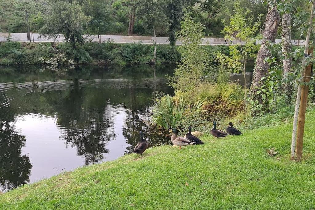 Nature E Spa Al - Termas Saude E Beleza, Totalmente Renovado - Piscinas Municipais Em Frente - Epoca Julho A Setembro São Pedro do Sul Kültér fotó