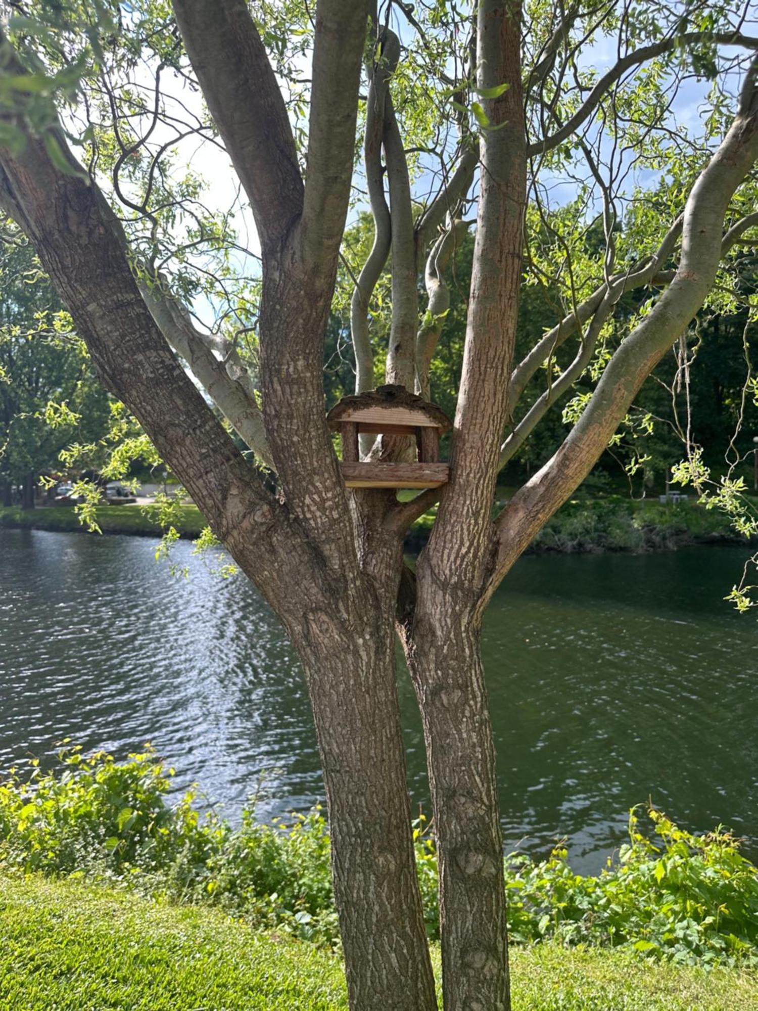 Nature E Spa Al - Termas Saude E Beleza, Totalmente Renovado - Piscinas Municipais Em Frente - Epoca Julho A Setembro São Pedro do Sul Kültér fotó